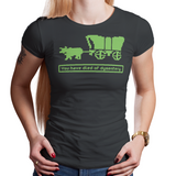 Oregon Invaders - Video Game Pixel T-Shirts & Retro Gaming Tees! Dysentery , Oregon Trail, Hunt, Ox, Wagon, 1971, PC, Original, Learning Game, History Lesson, Travel, Banker, Pixel, Sprite, Old School, Fort, America, Indian, Gold Rush, West, Men, Women, Kids, Clothes, Tees